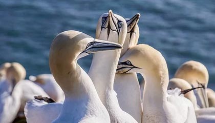 窗外的夜色是什么歌歌词里有窗外的夜