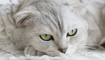 抱一抱那个抱一抱这是什么歌—抱一抱是什么歌名